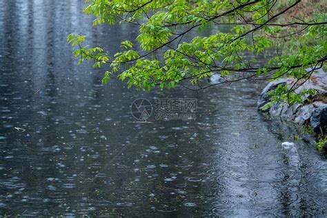 落雨|落雨的解释